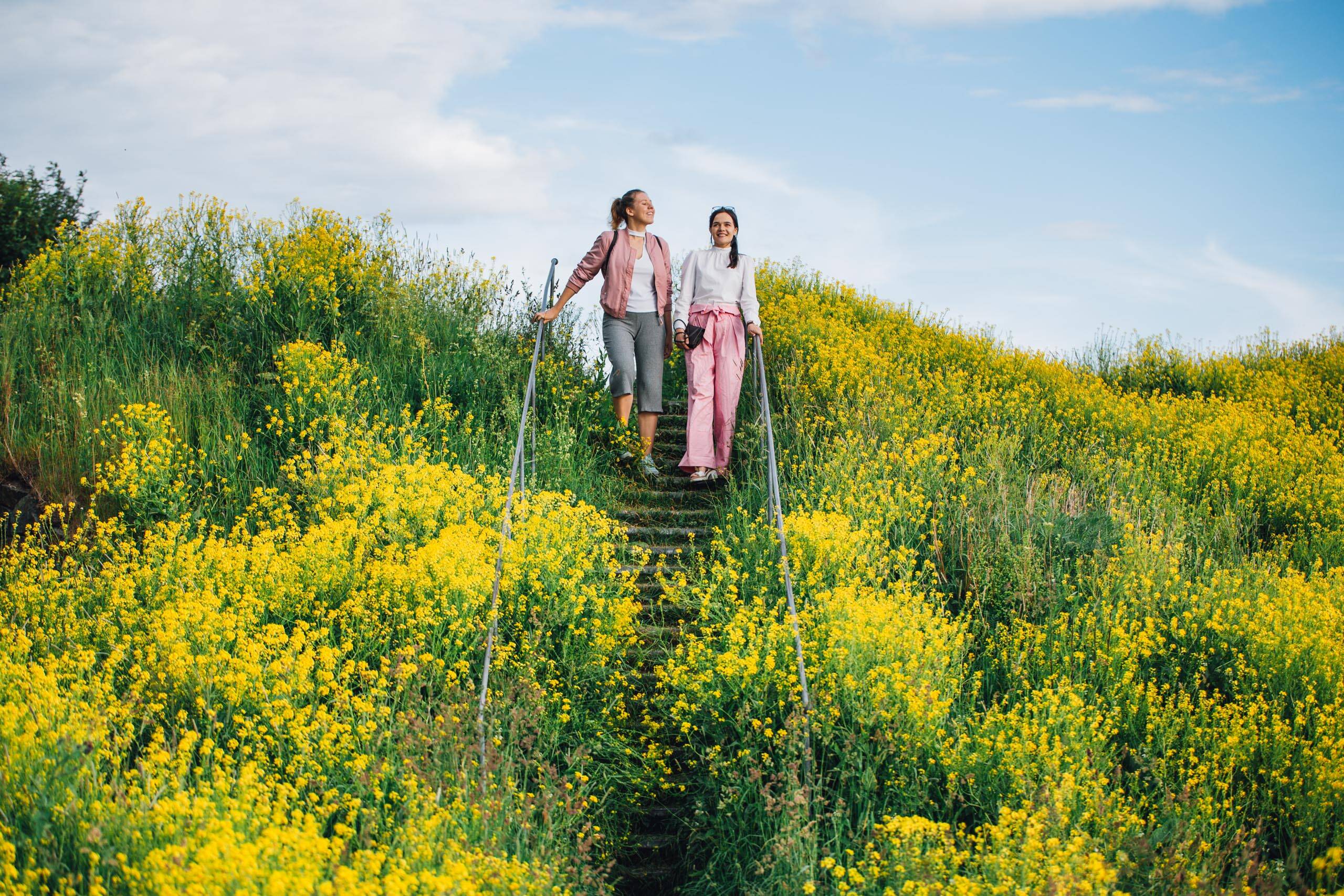 Två personer står på en trappa mitt i ett blomsterfält på Skanslandet i Helsingfors.