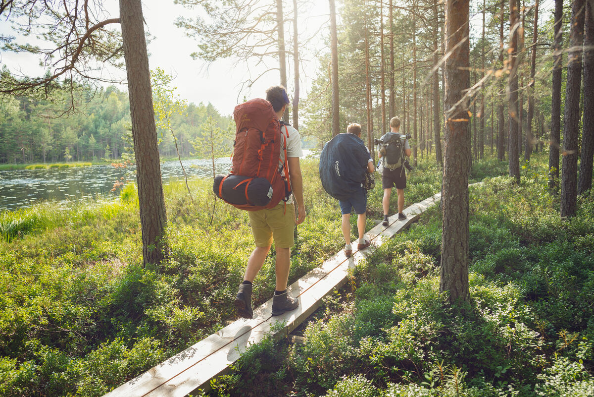 People hiking in Repovesi national park in Finland.