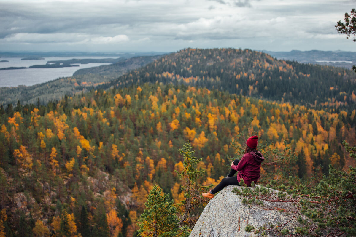 Foliage autunnale e vista sul lago Pielinen nel Parco nazionale di Koli, Finlandia. - Julia Kivelä