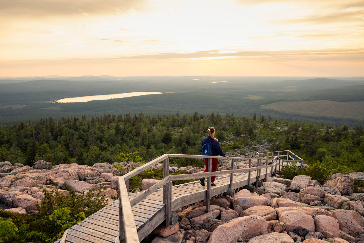 Person som beundrar landskapet i Salla nationalpark. - Harri Tarvainen Person som beundrar landskapet i Salla nationalpark. - Harri Tarvainen