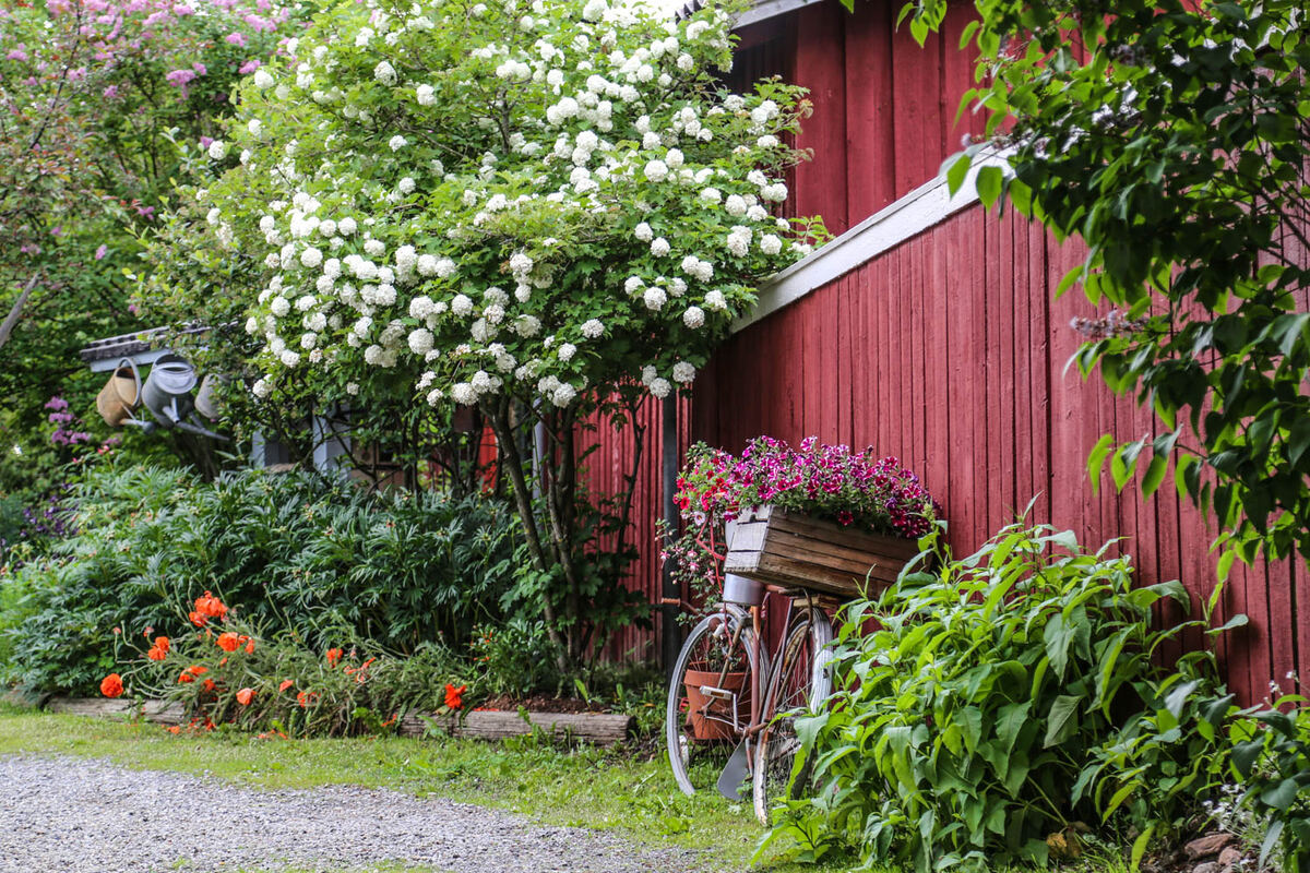 Encantadora casa de madera roja en Kristiinankaupunki. - Sanna Wallenius